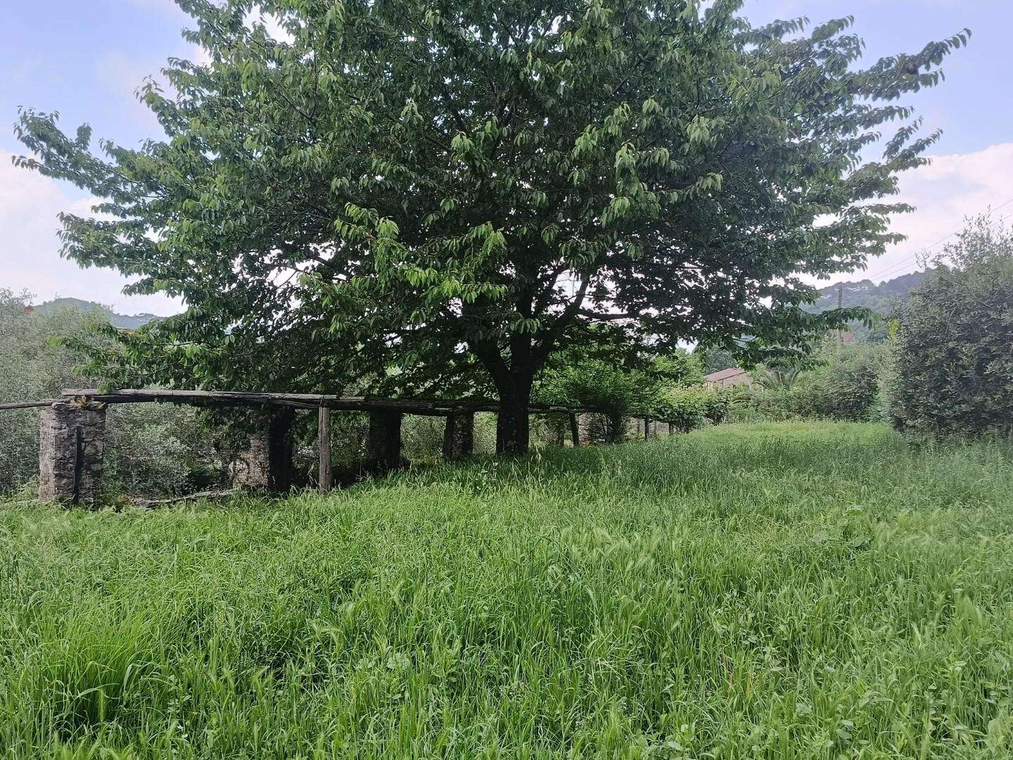  - foto 16
