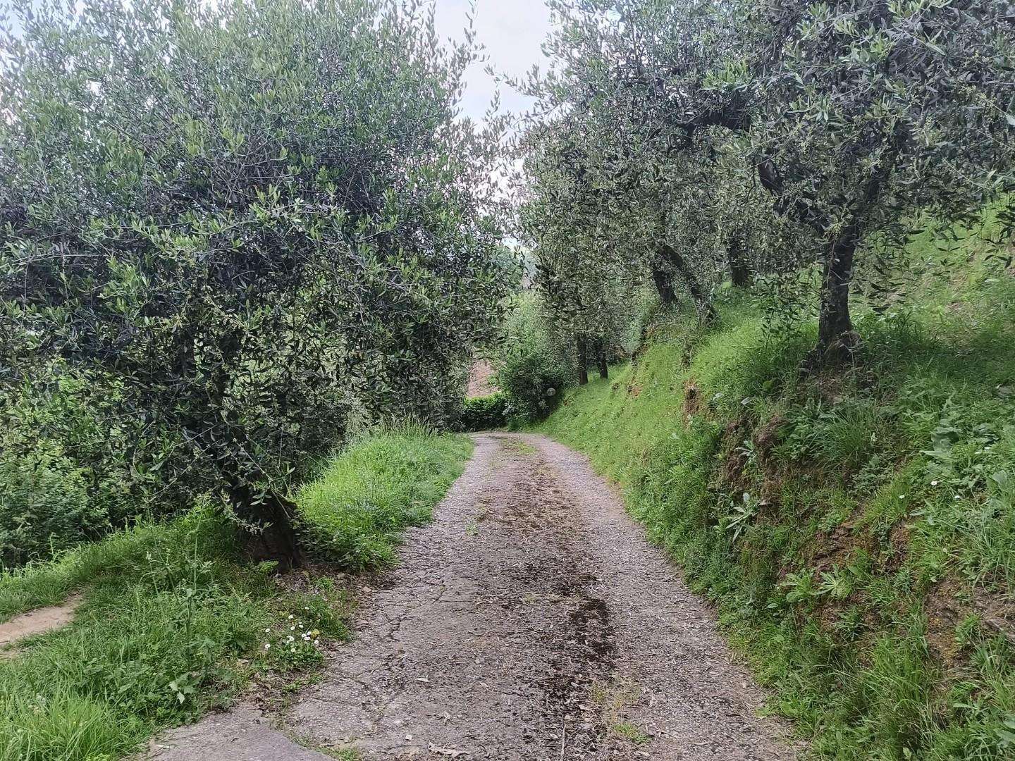  - foto 19