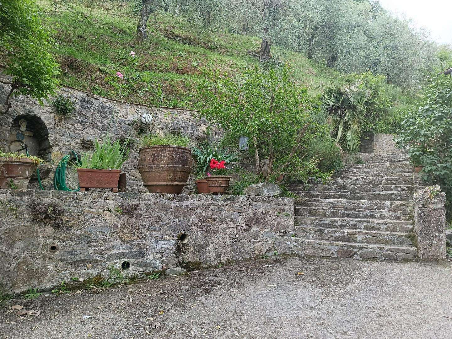  - foto 3