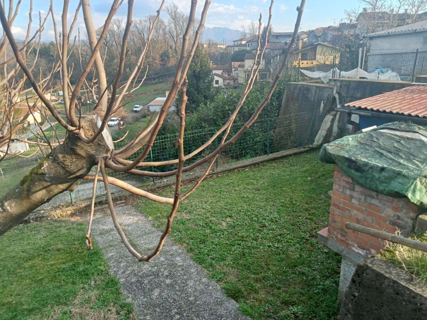  - foto 4