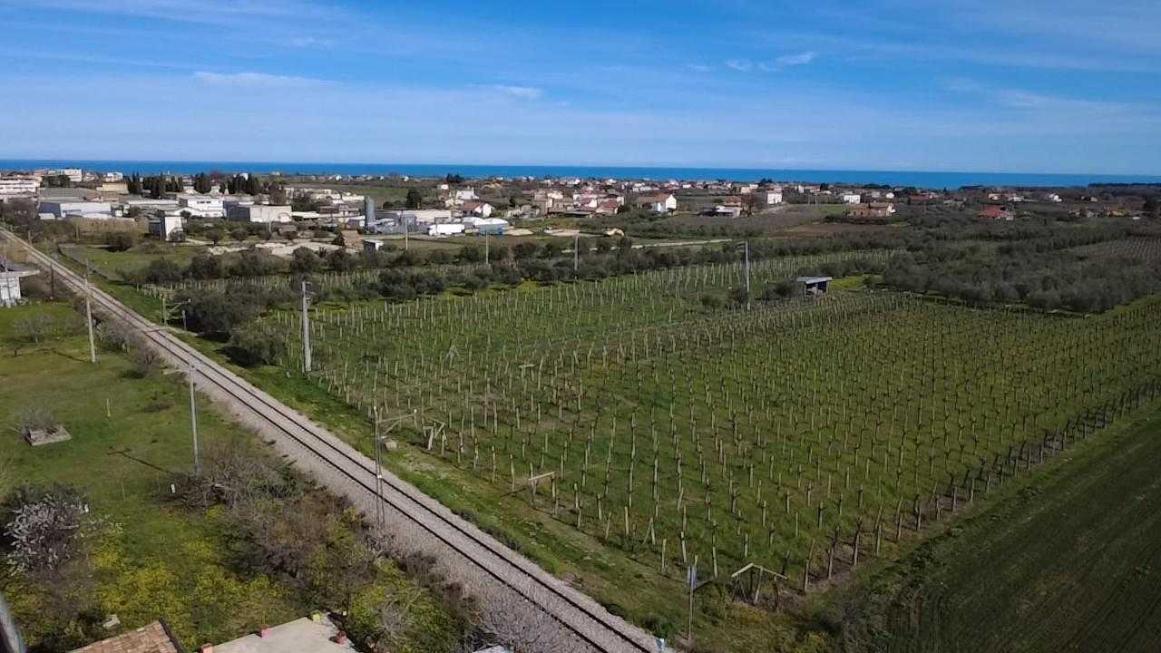  - foto 4