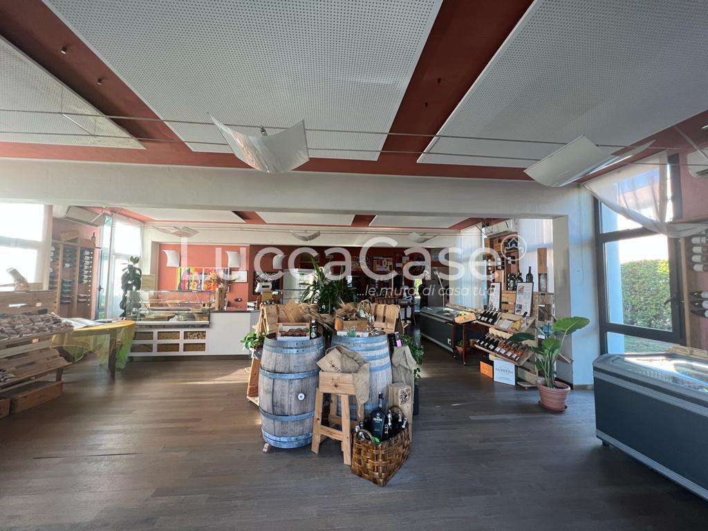 - foto 10