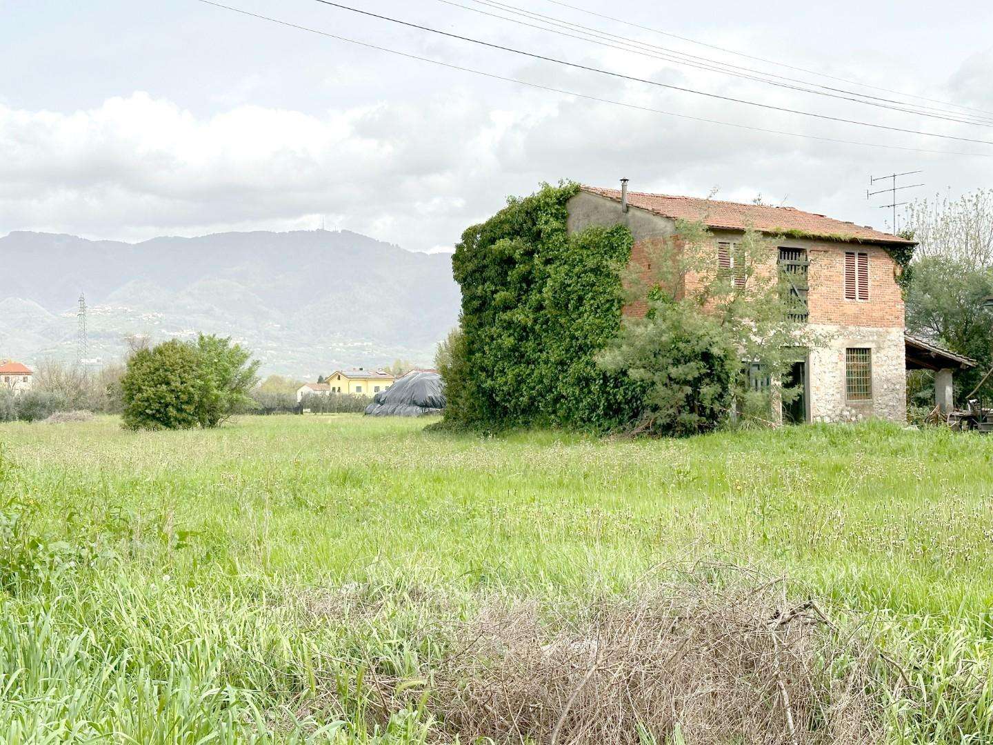 immagine annuncio 3 di 7