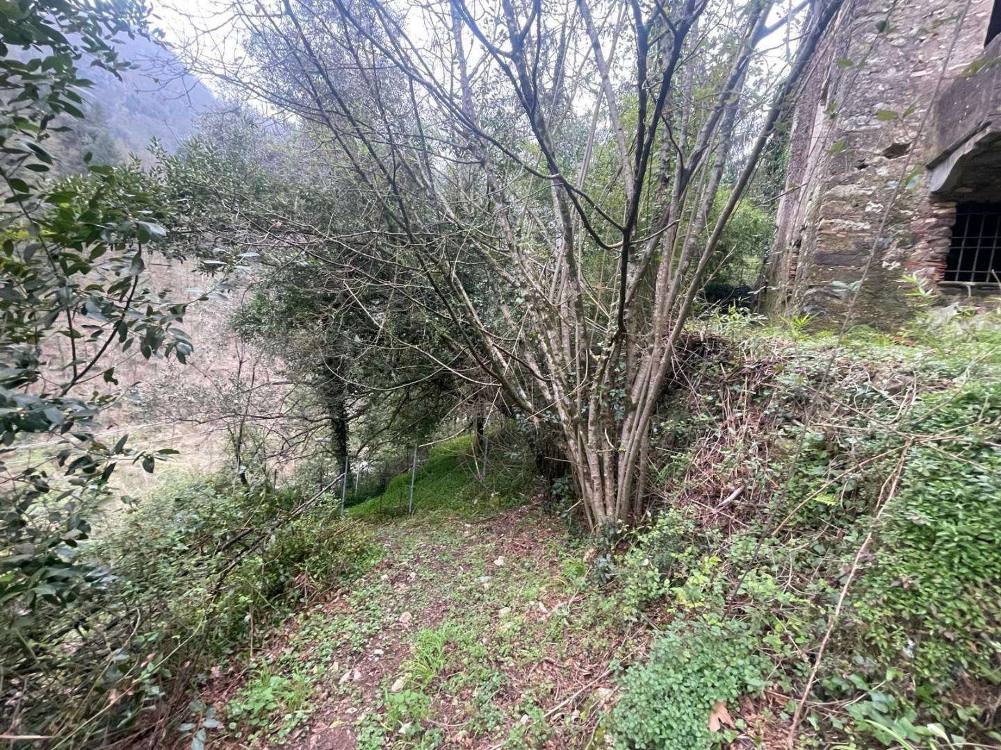  - foto 20