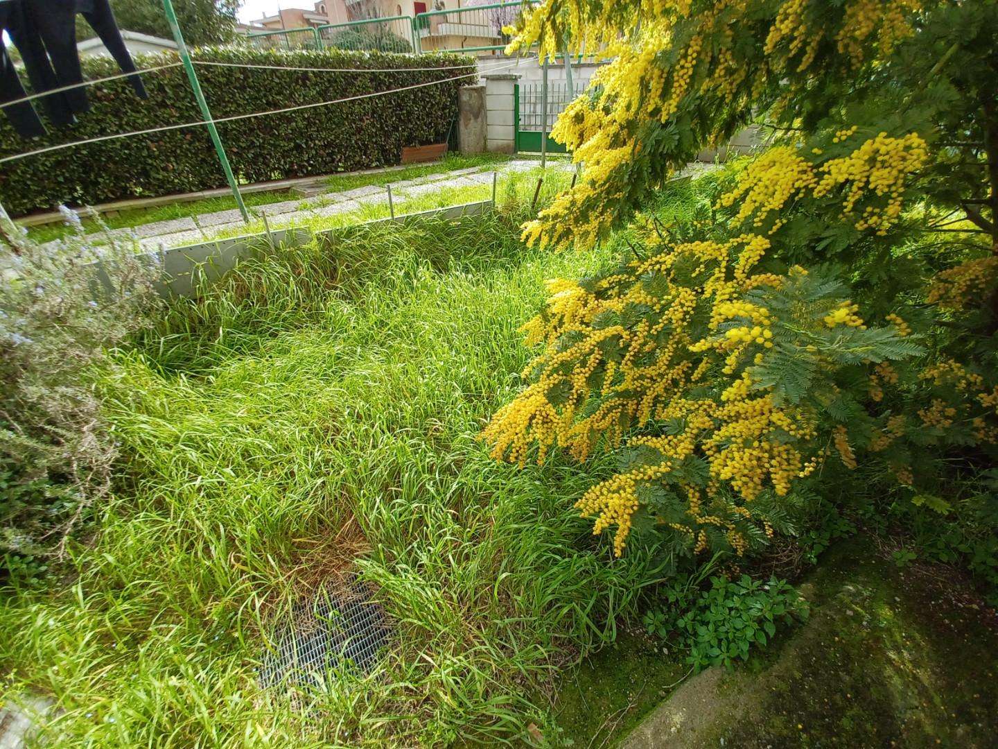  - foto 23