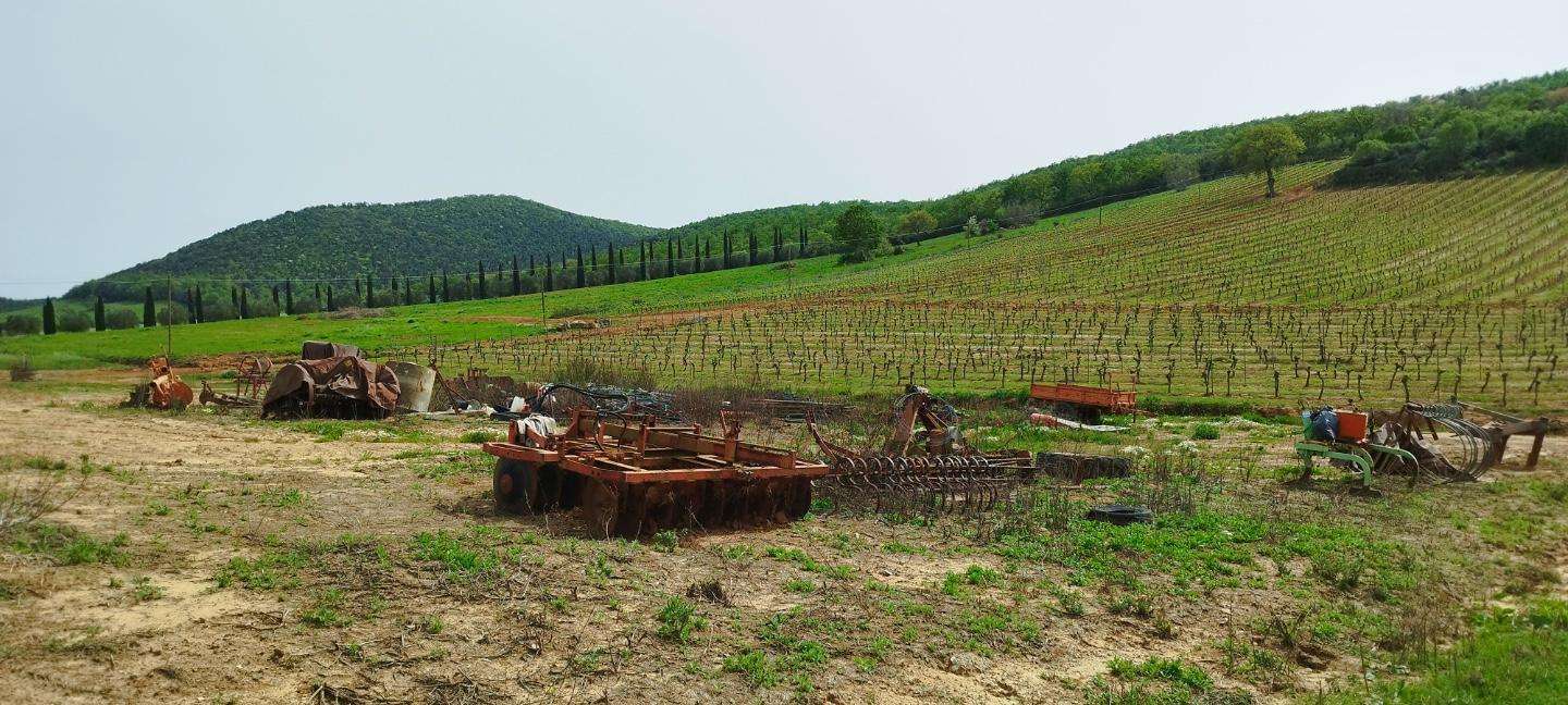 immagine annuncio 2 di 15