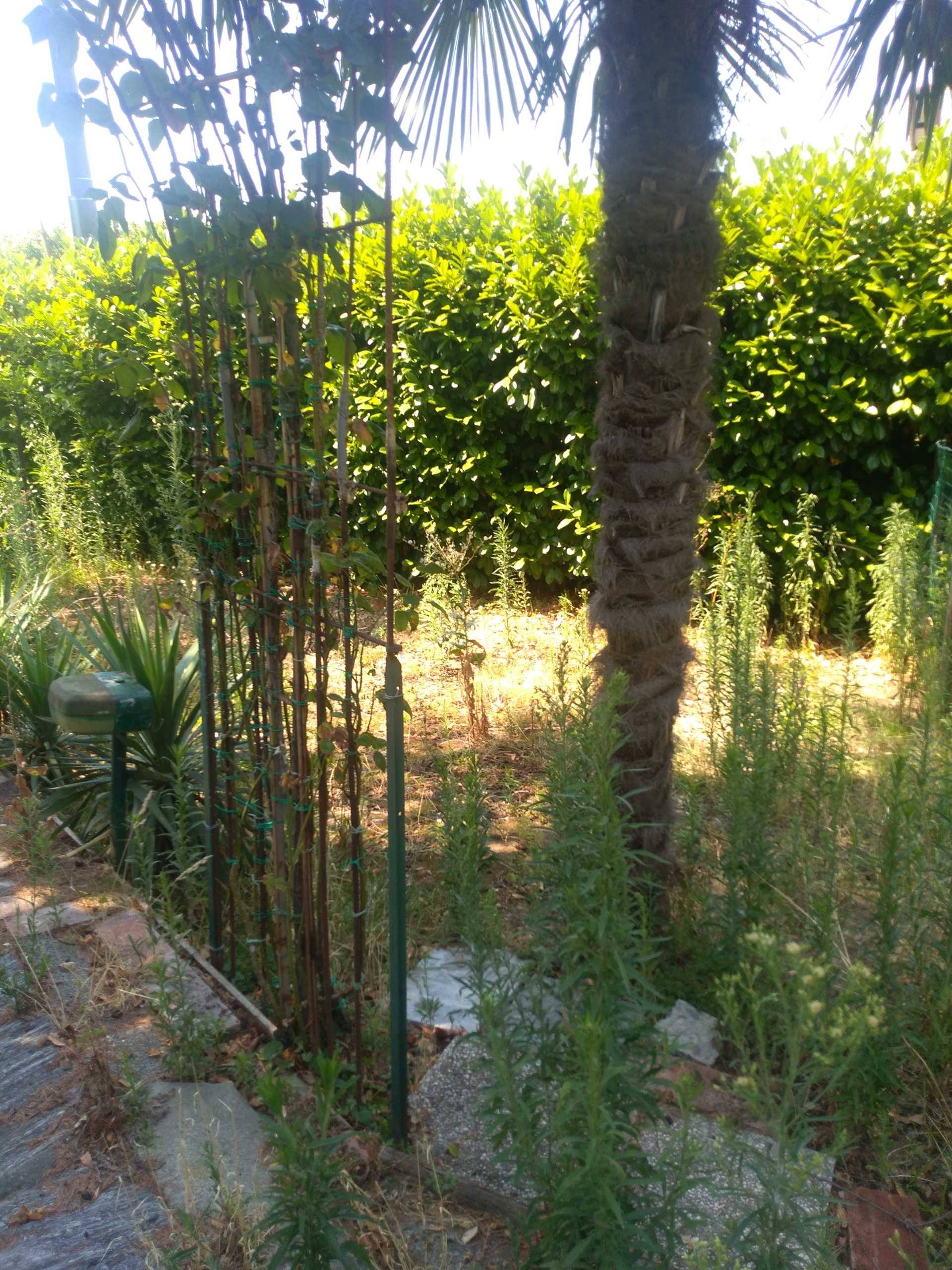  - foto 17