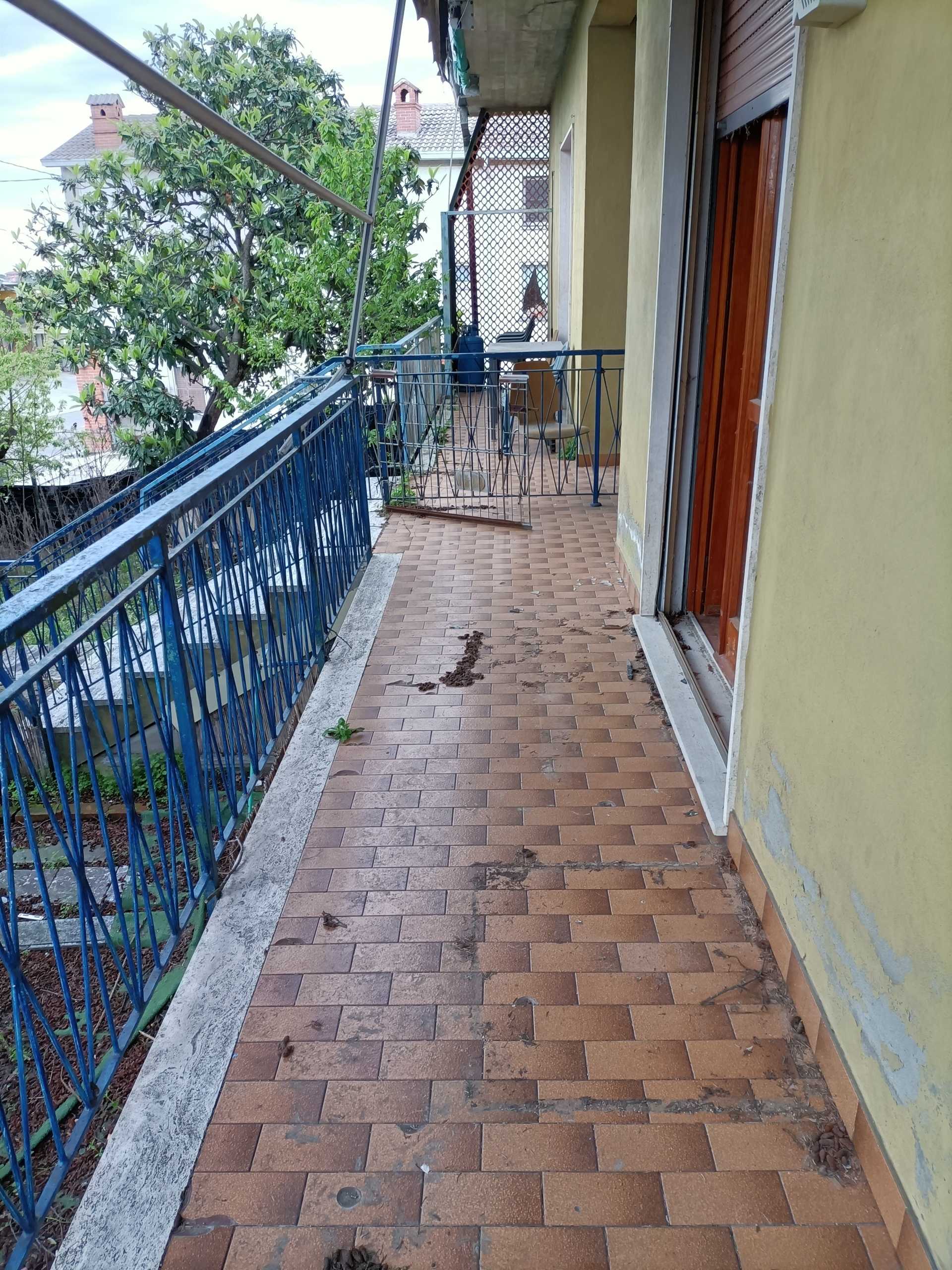  - foto 31
