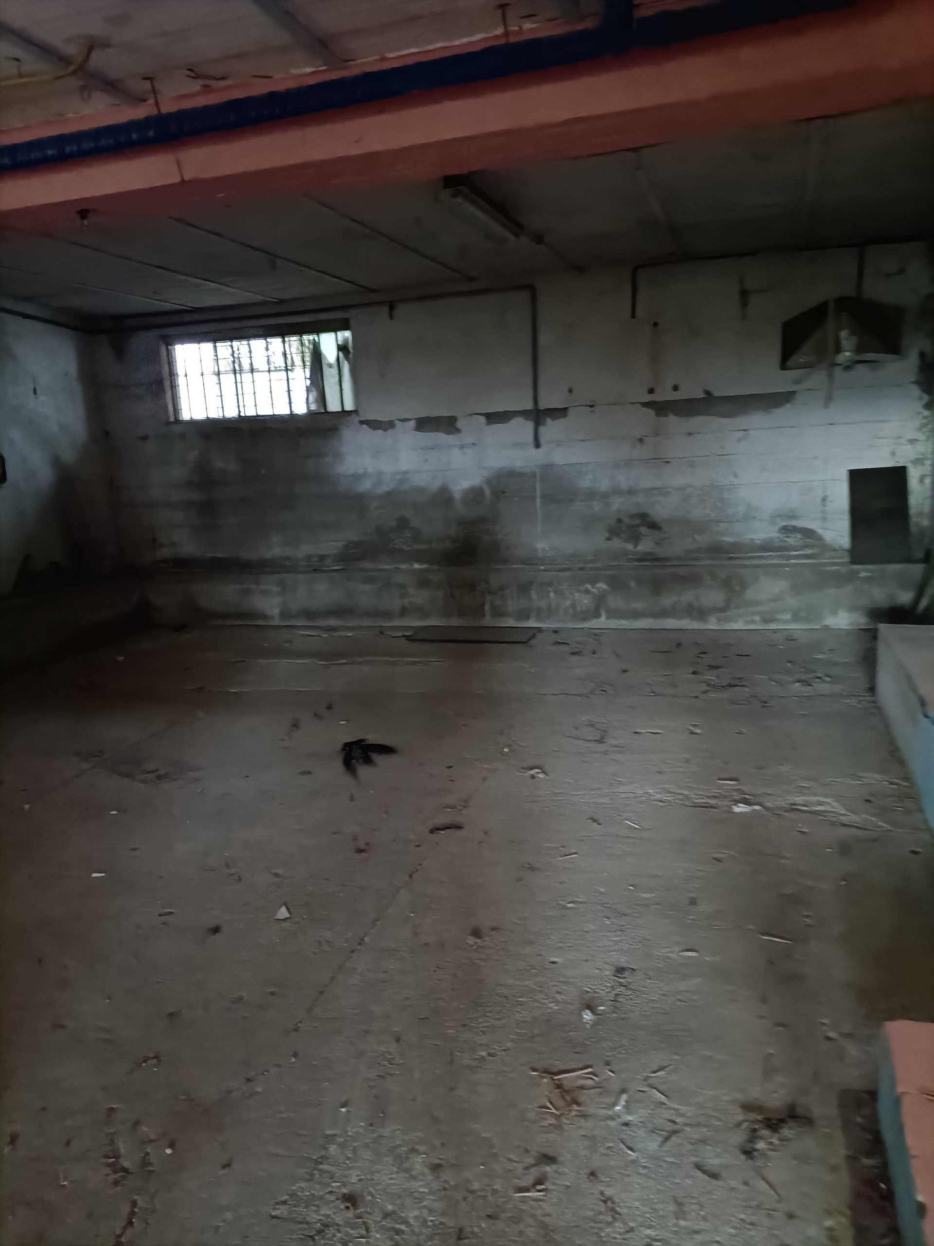  - foto 48
