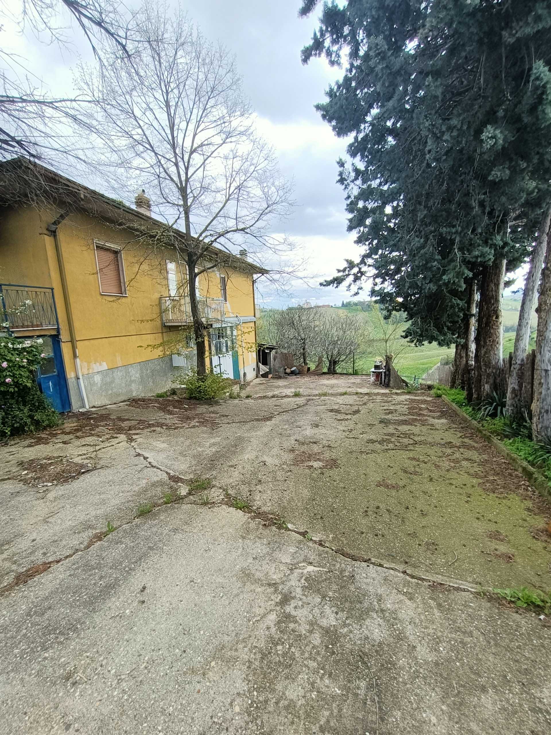  - foto 53