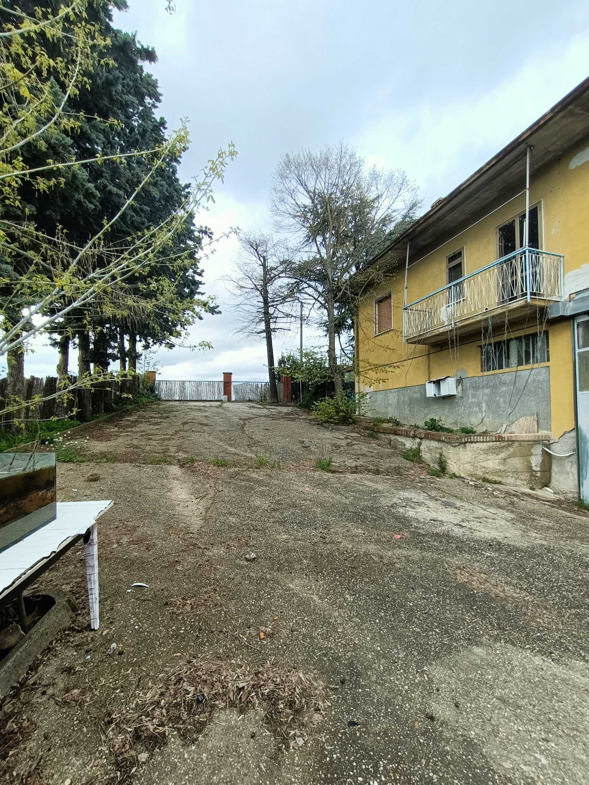 - foto 54