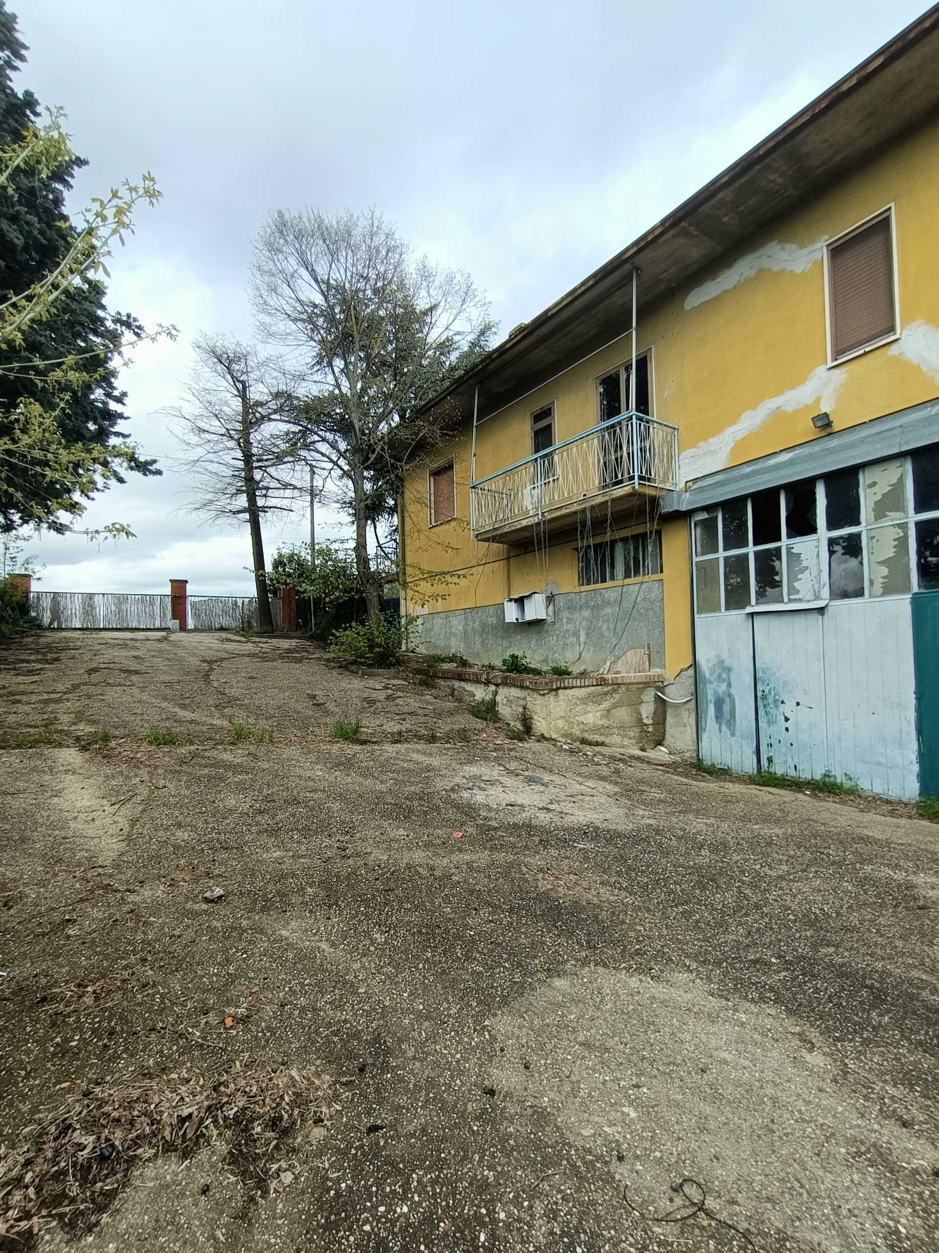  - foto 55