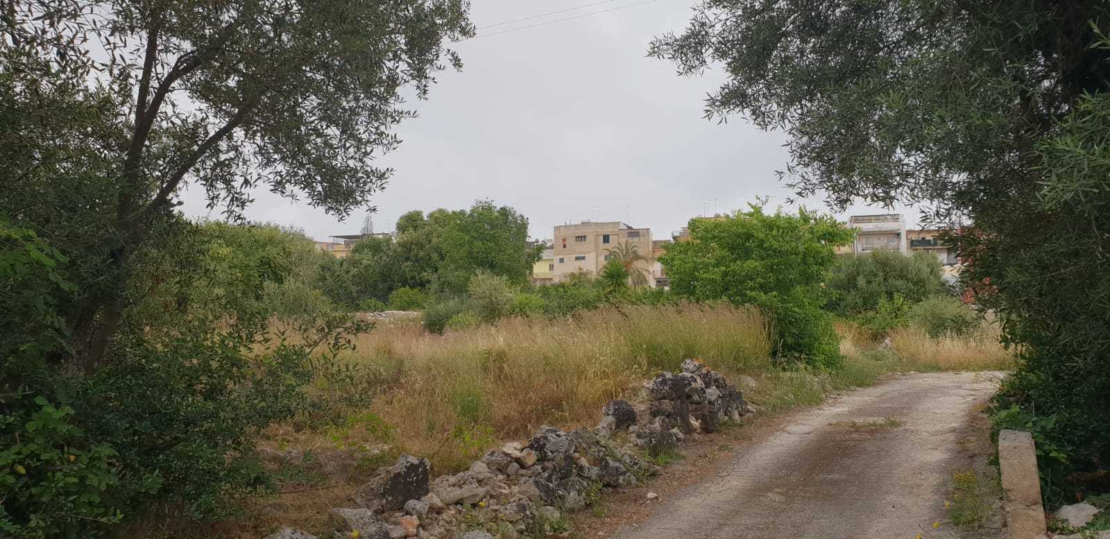  - foto 3
