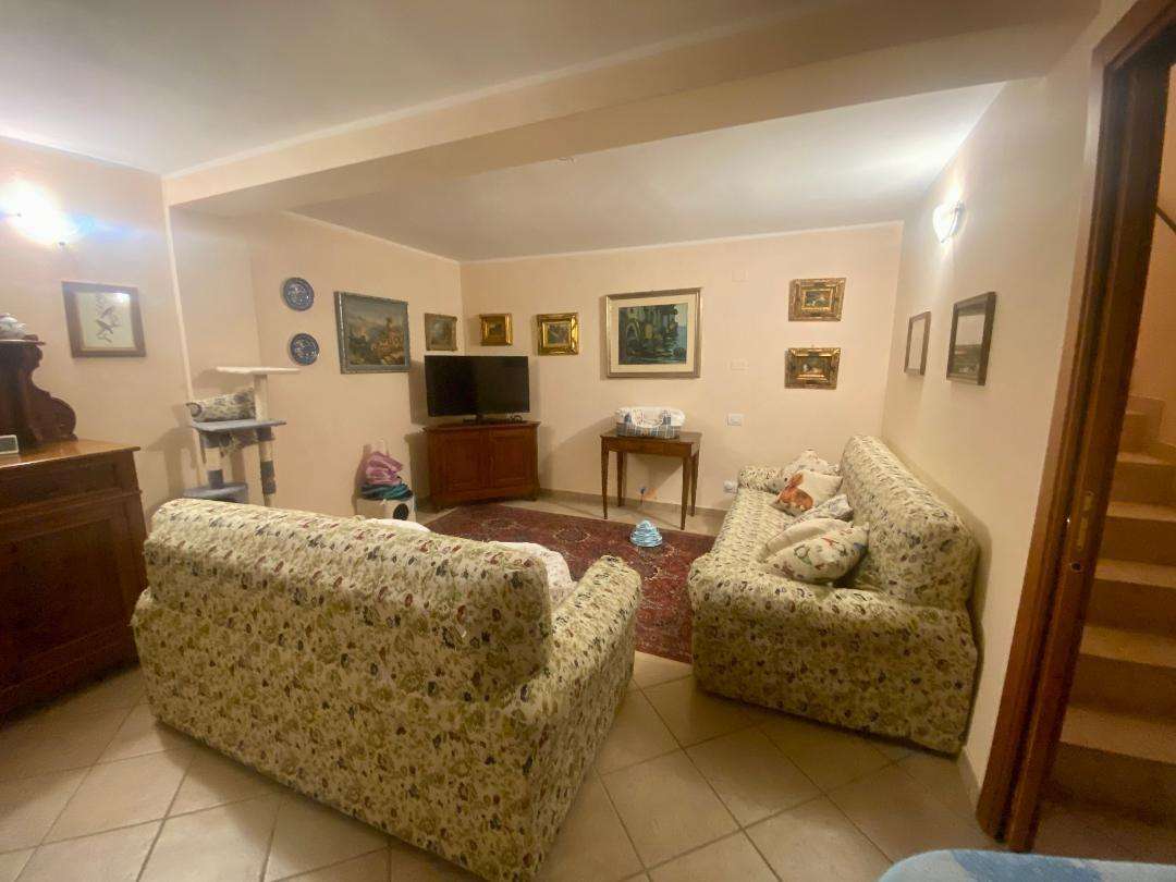  - foto 15