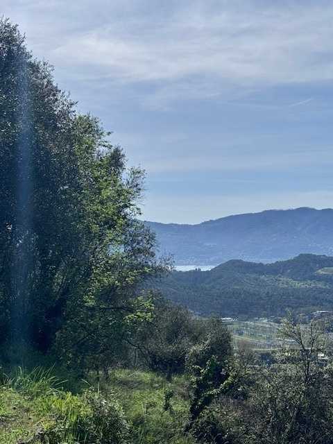  - foto 16