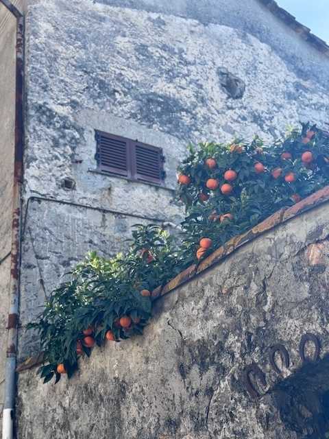 - foto 18