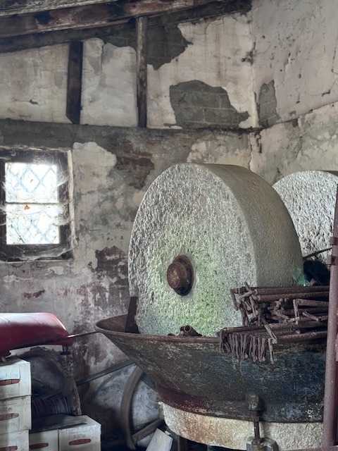 - foto 19