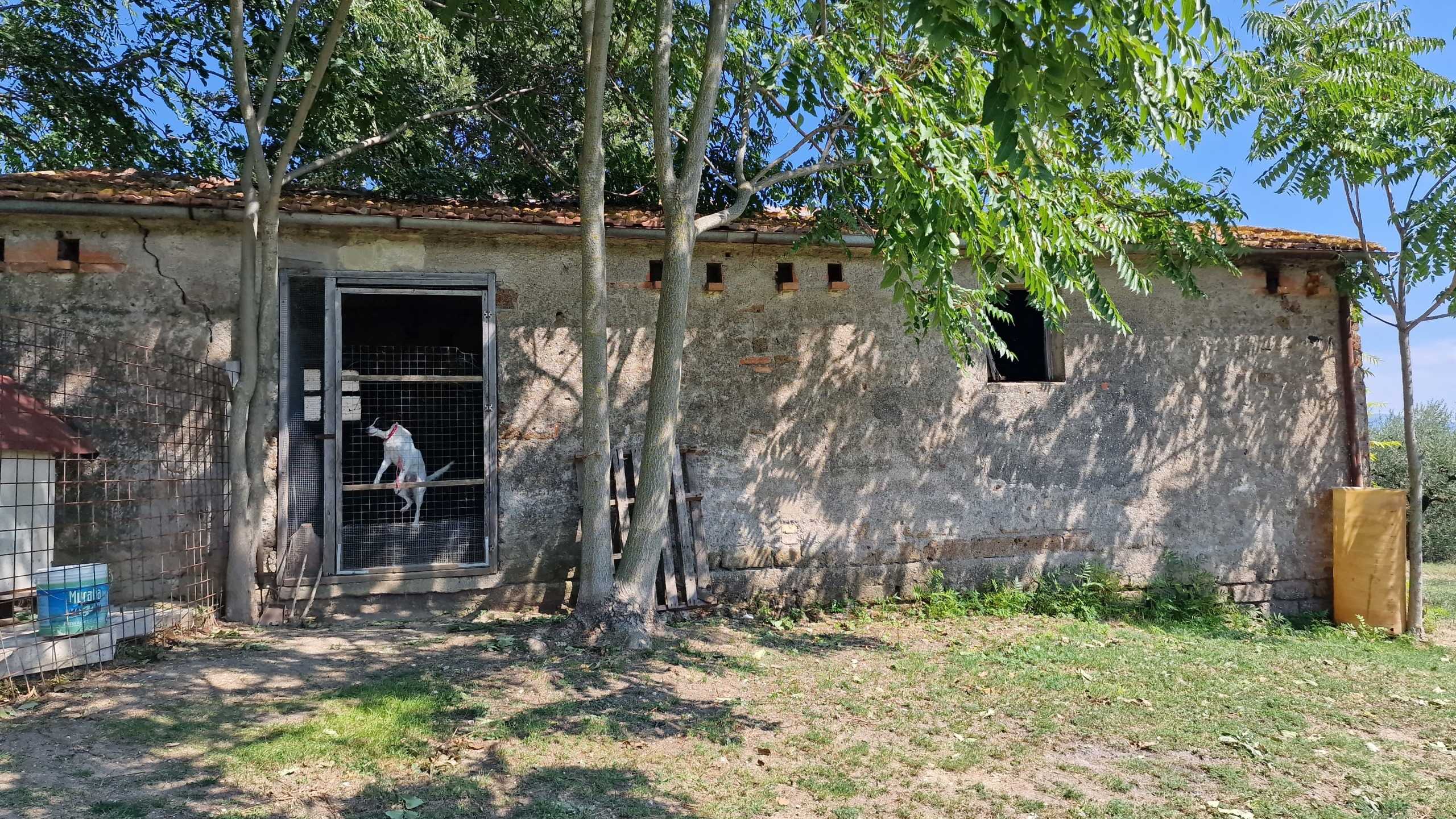  - foto 4