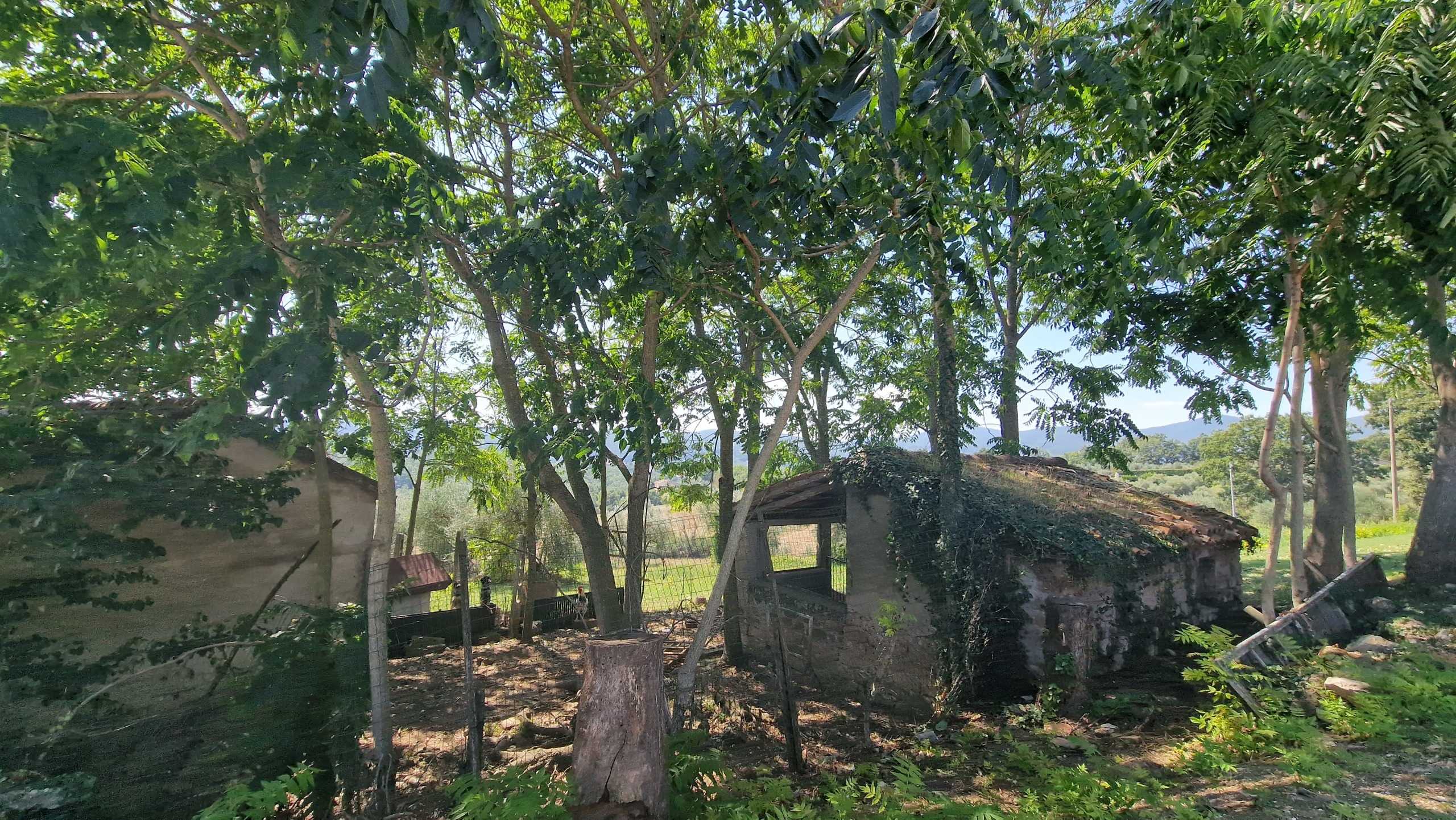  - foto 41