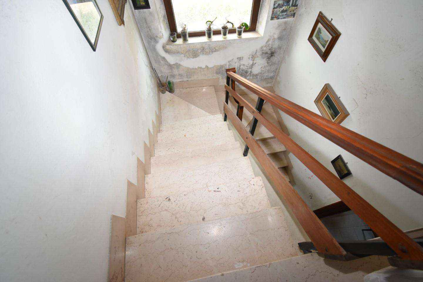  - foto 56