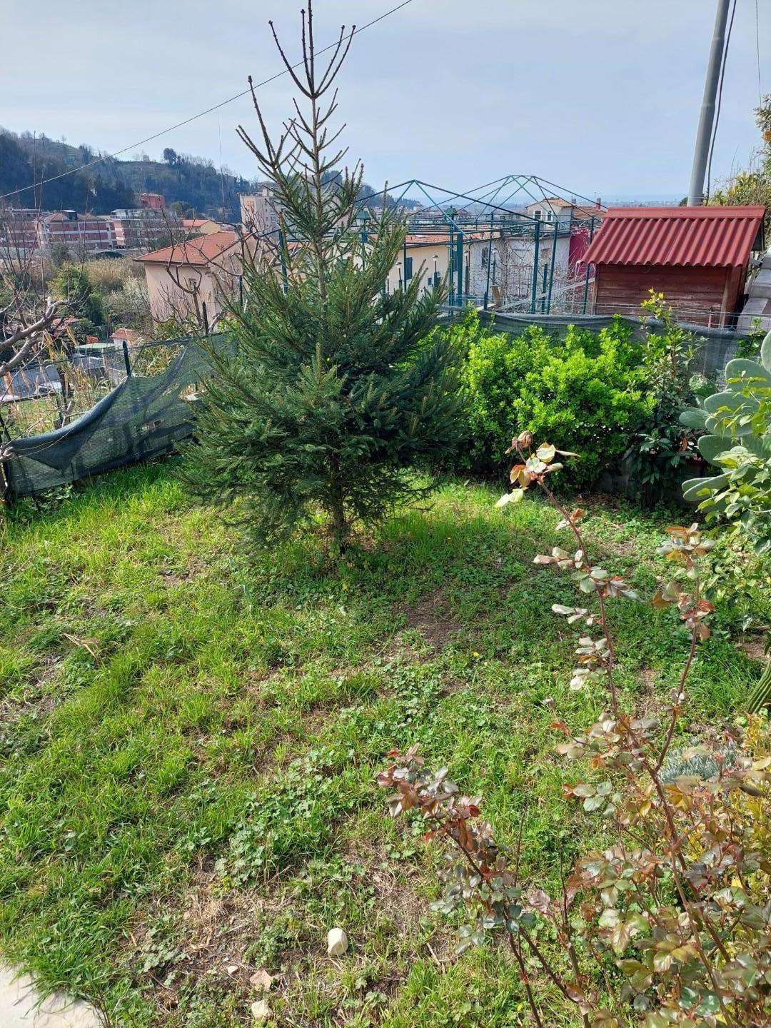  - foto 36