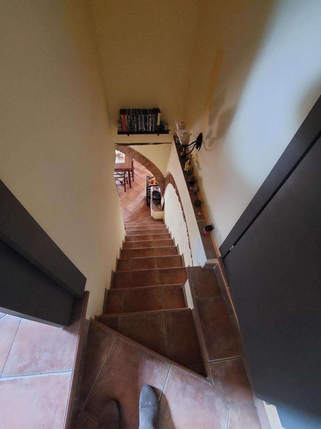  - foto 7