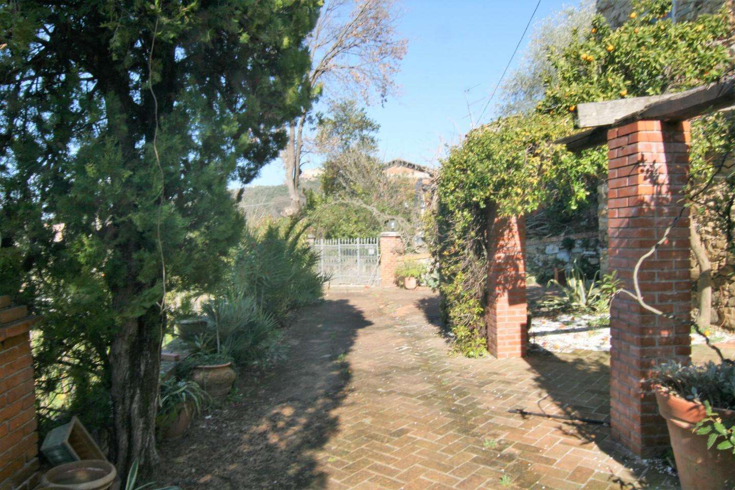  - foto 11