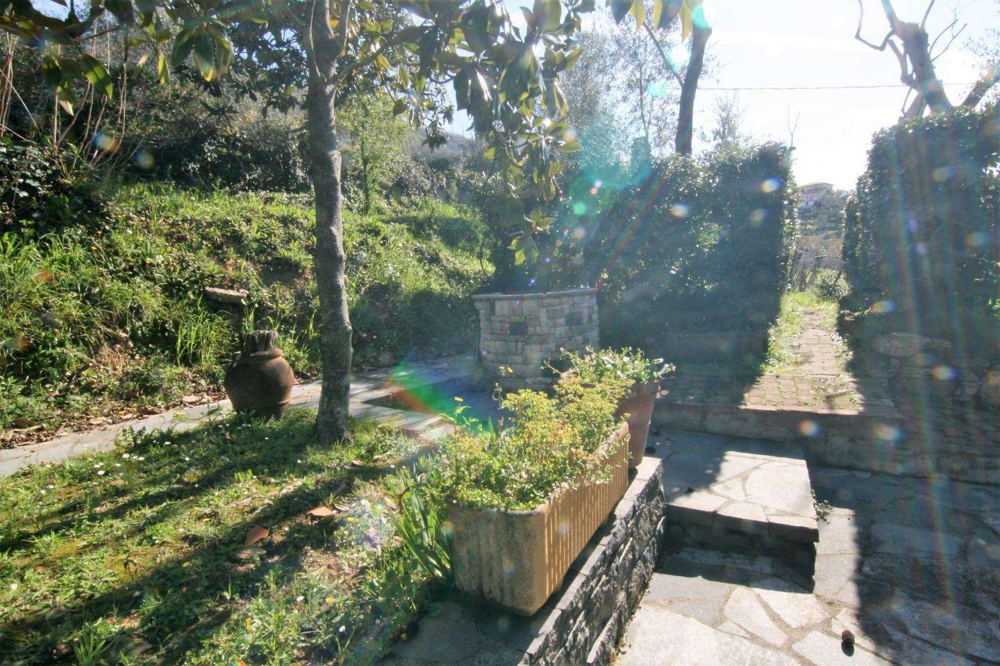  - foto 14