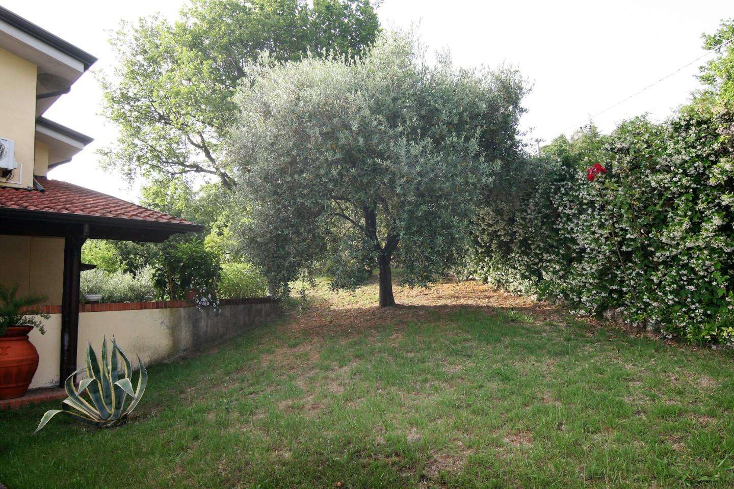  - foto 39