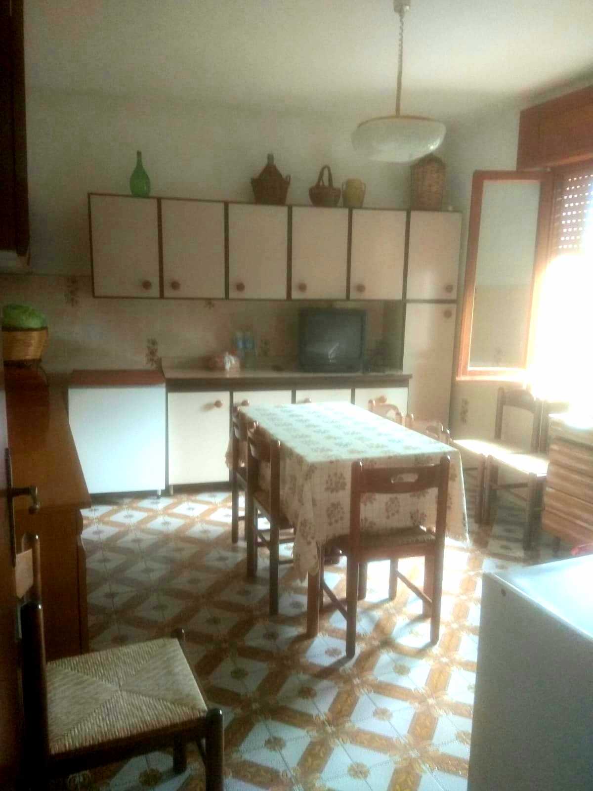  - foto 13