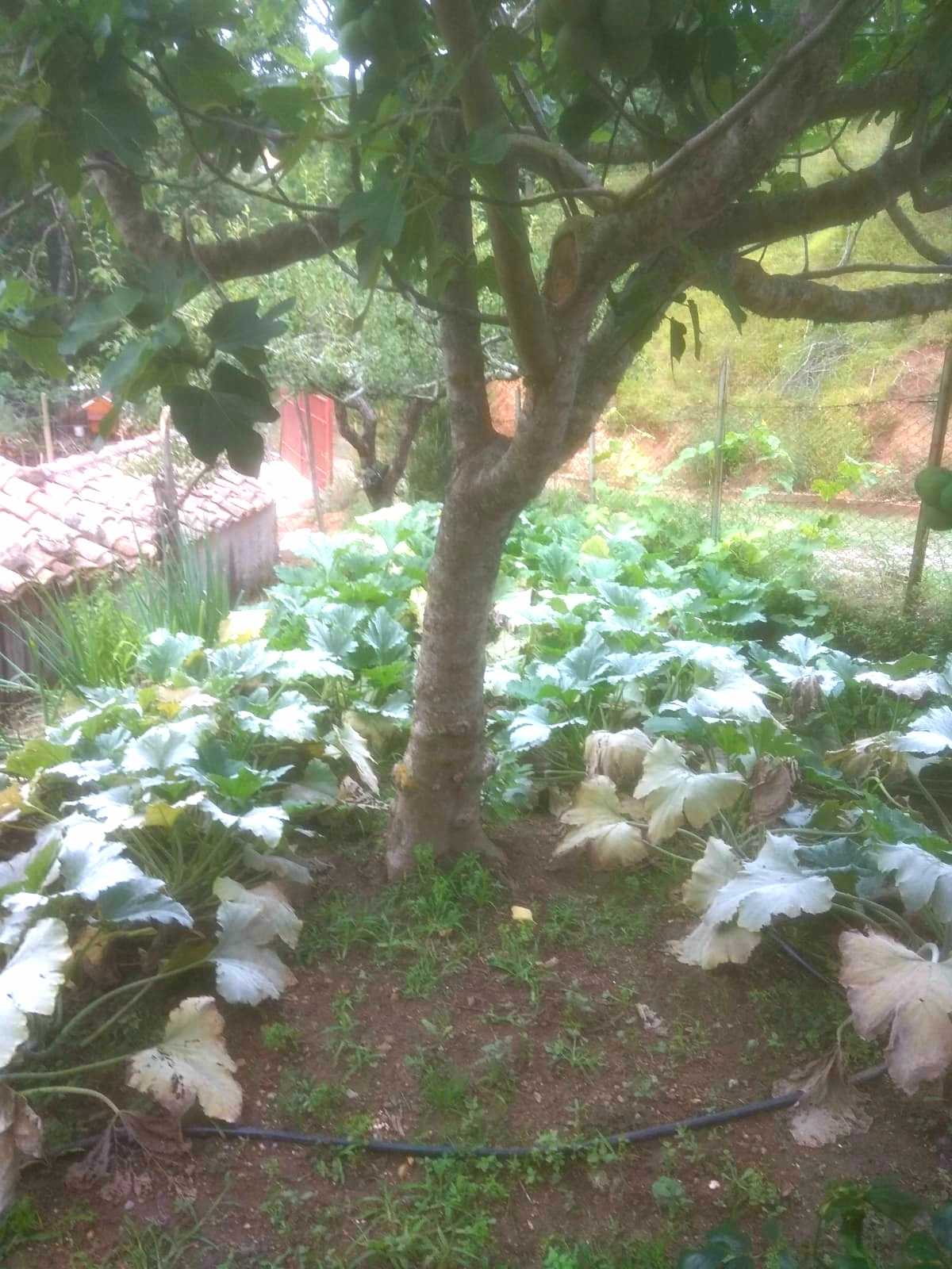  - foto 15