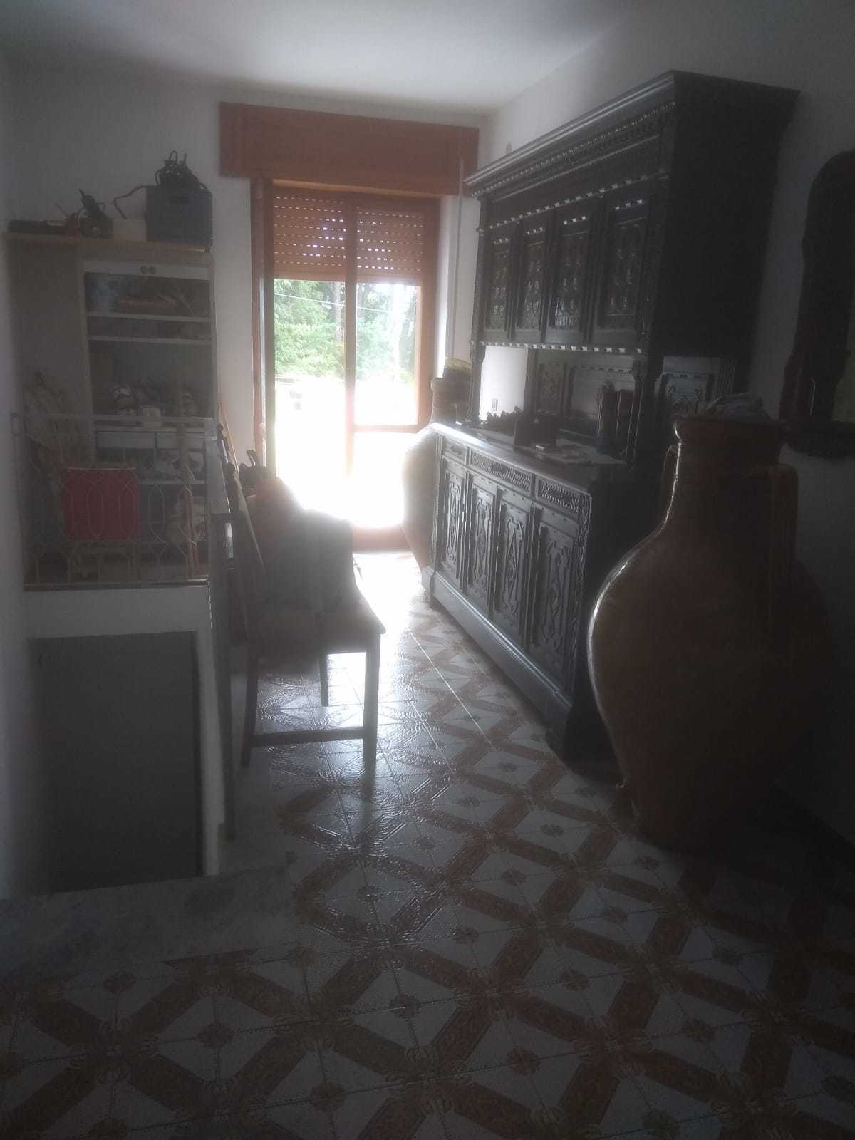 - foto 7