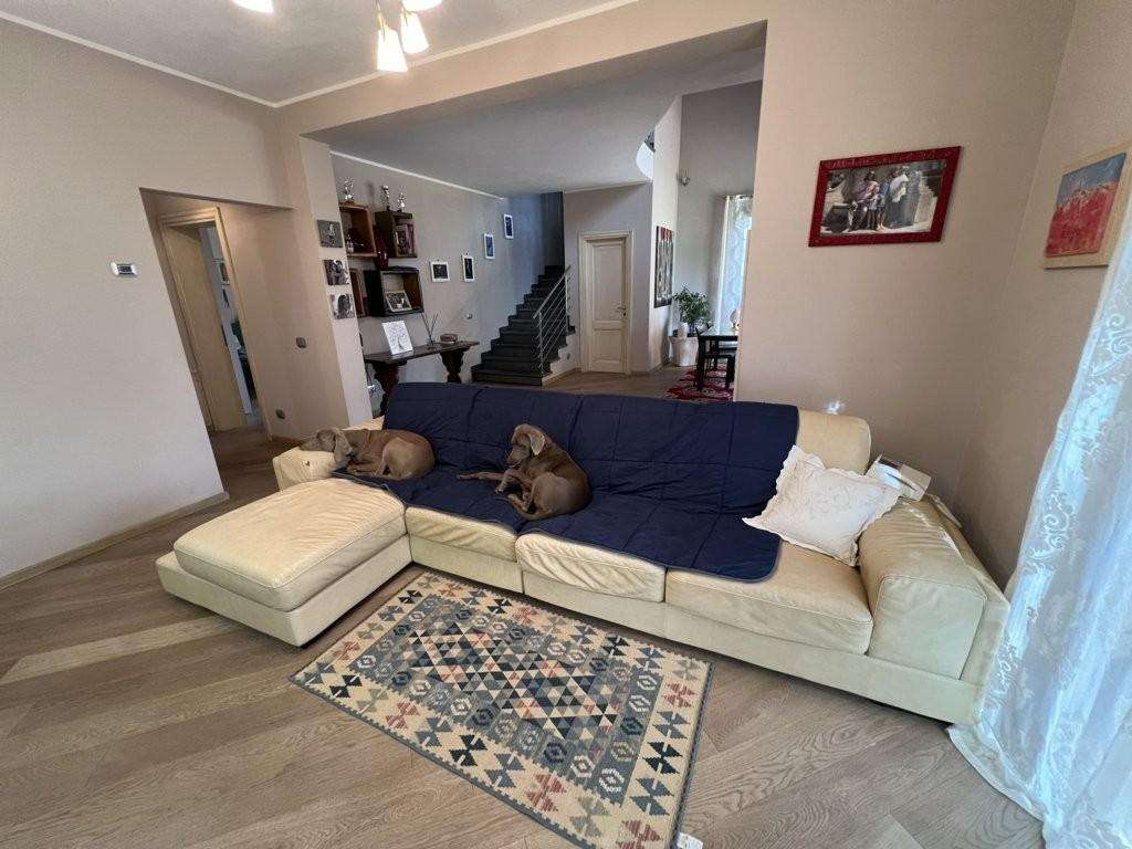  - foto 15