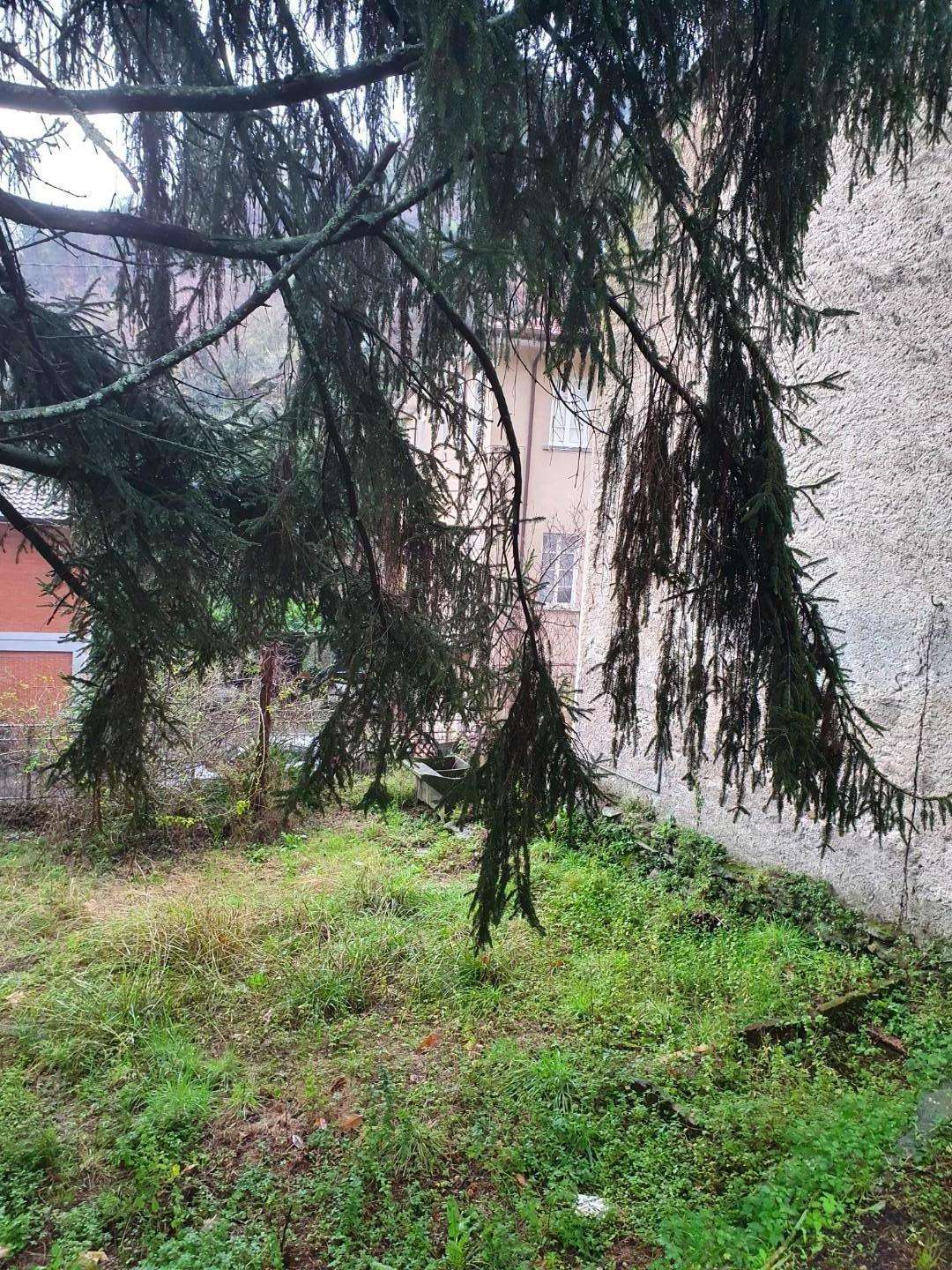  - foto 12