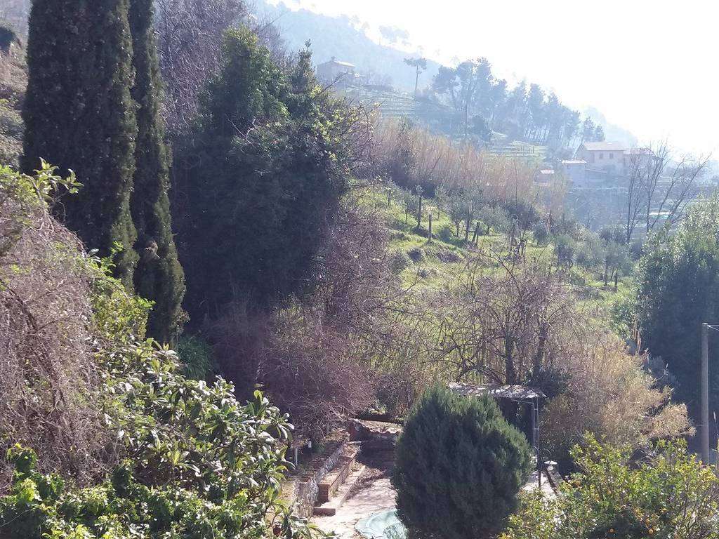  - foto 14