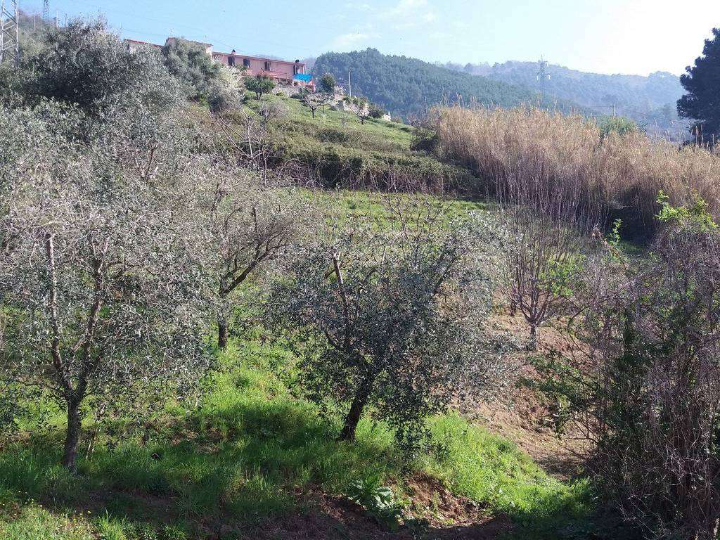  - foto 15
