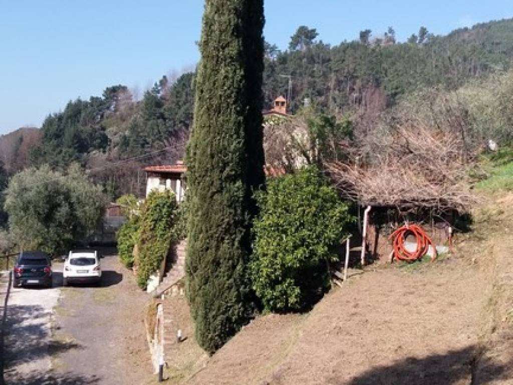  - foto 19