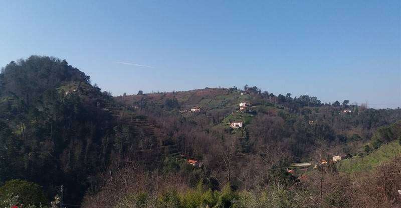  - foto 4