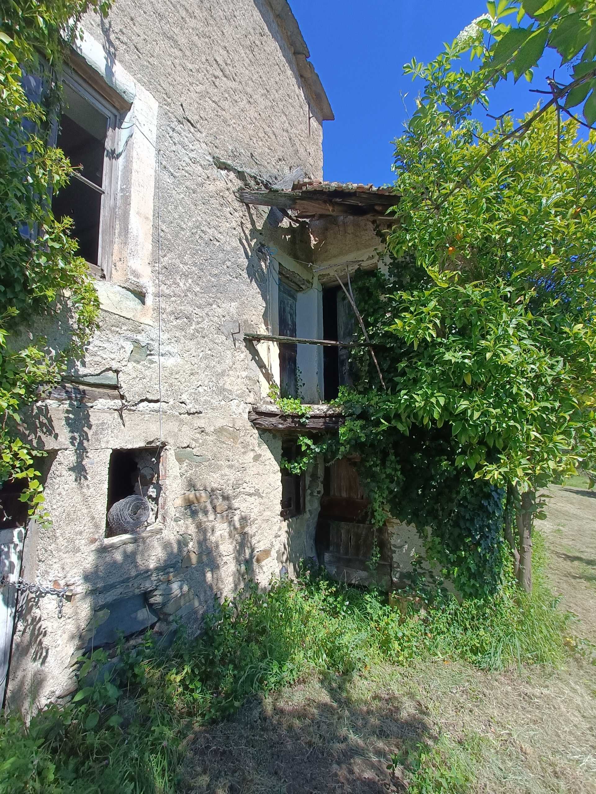 - foto 36