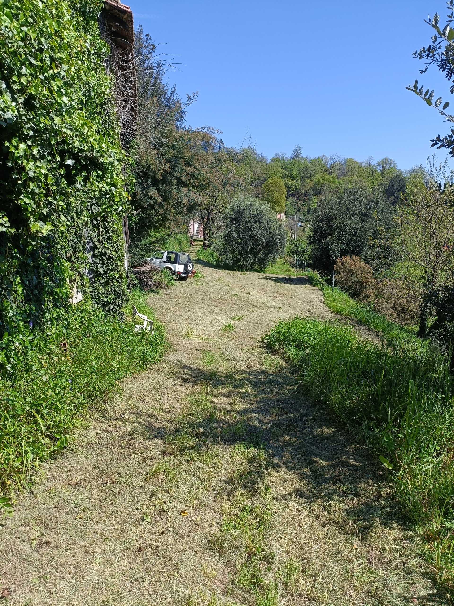  - foto 38