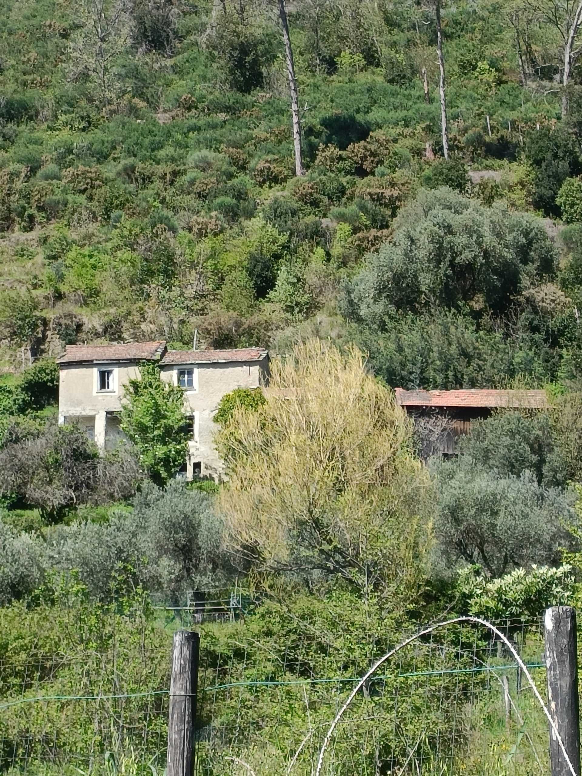  - foto 49