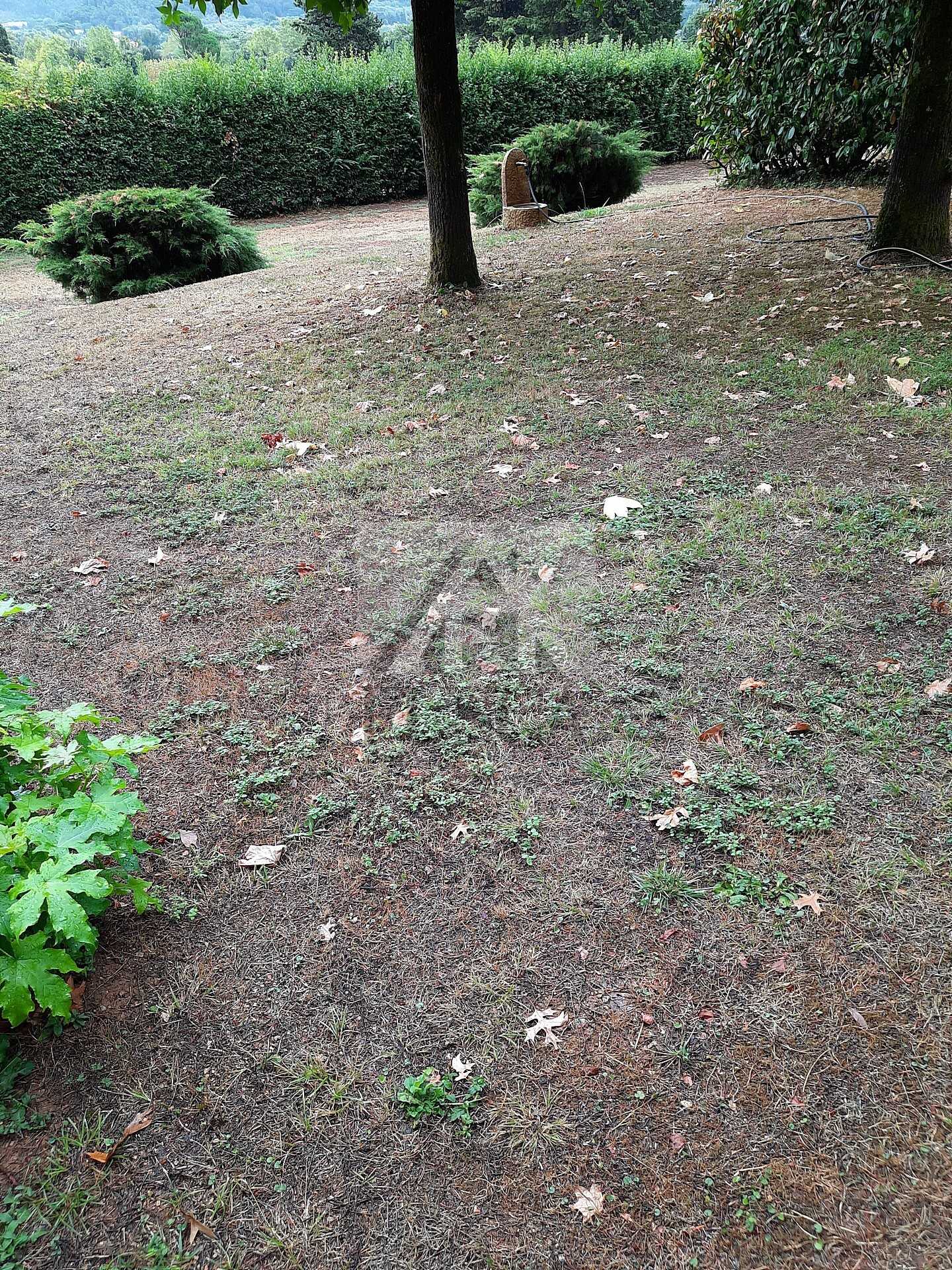  - foto 12