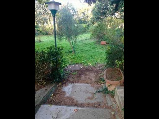  - foto 16
