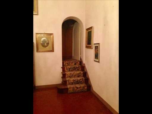  - foto 19