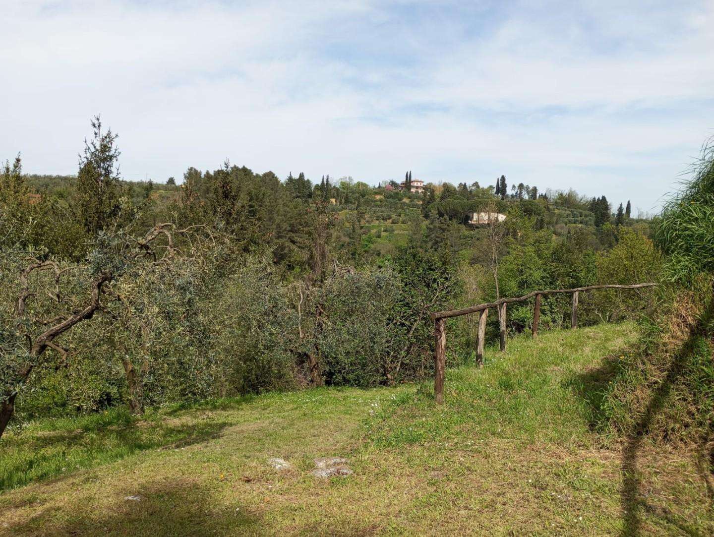  - foto 12