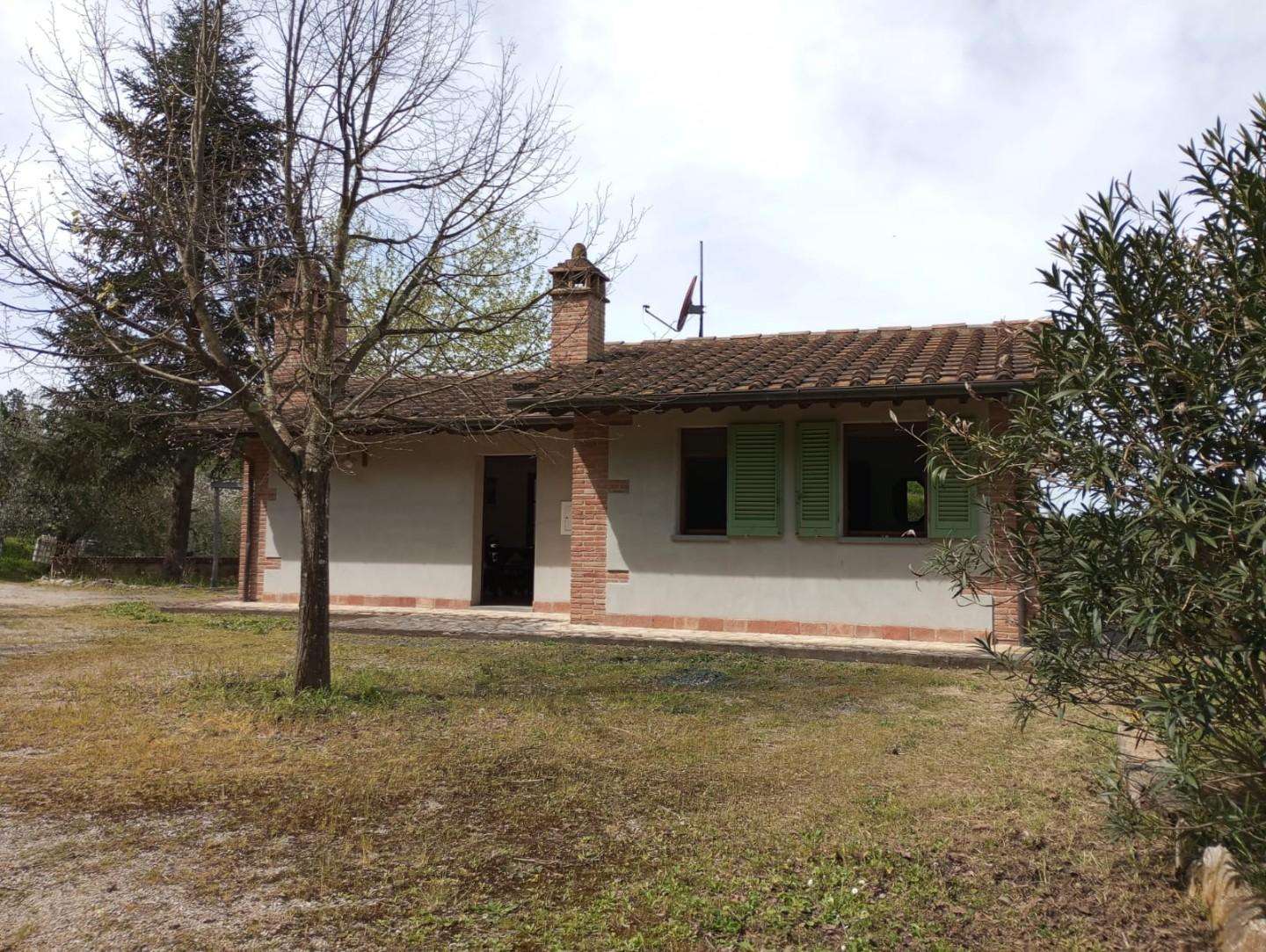  - foto 36
