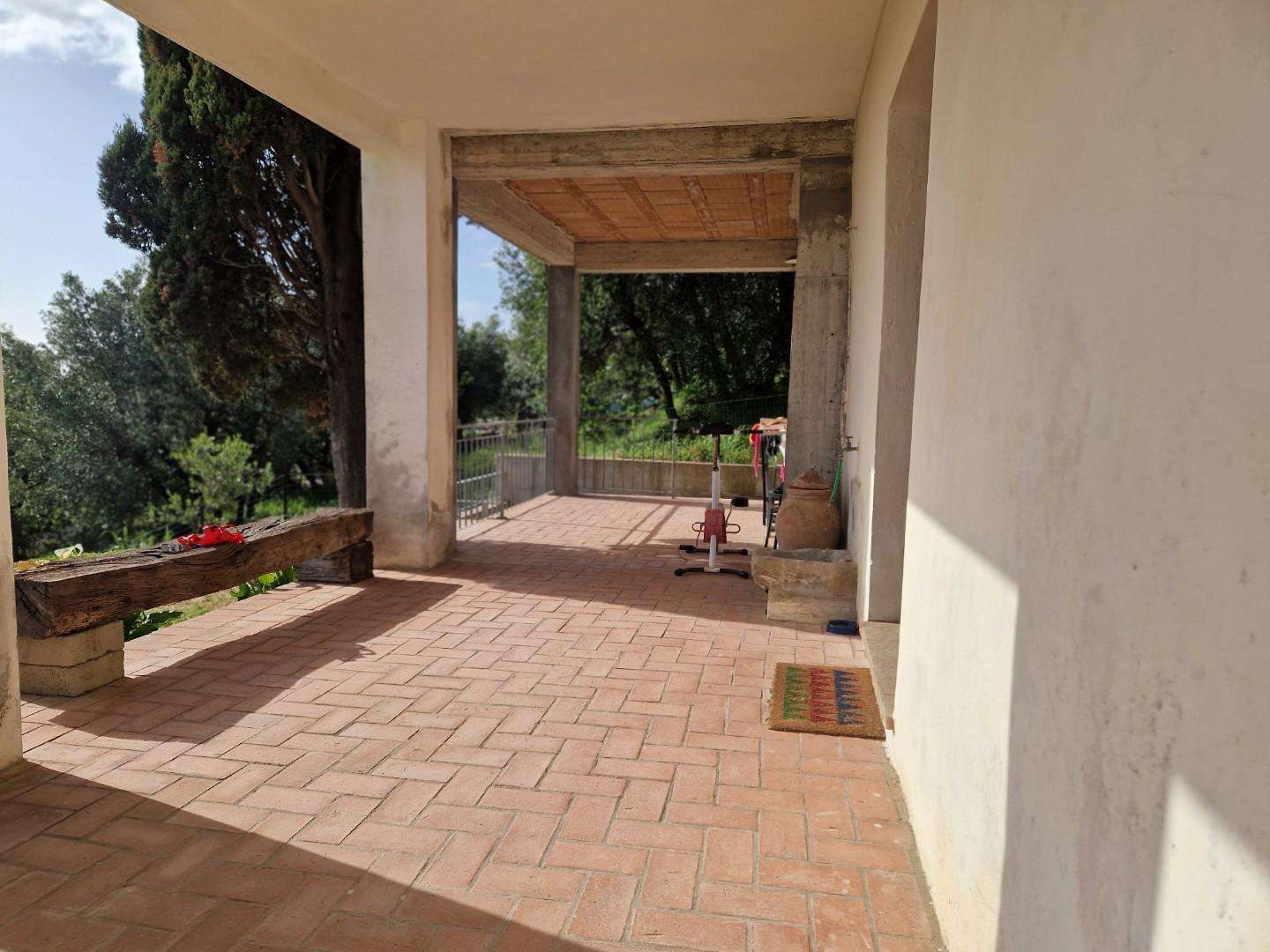  - foto 5