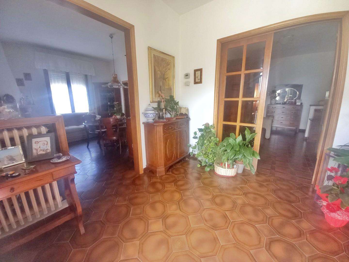  - foto 13