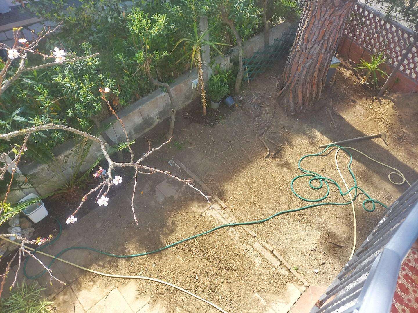  - foto 32