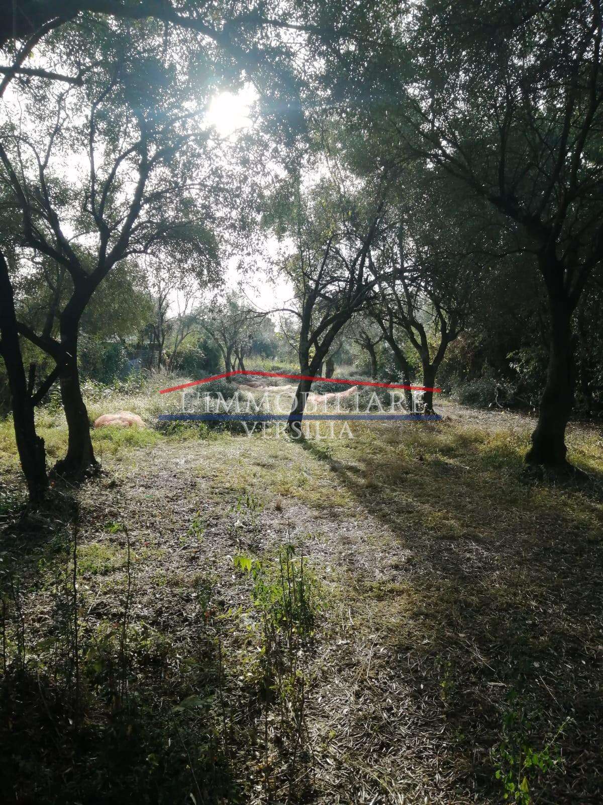  - foto 41